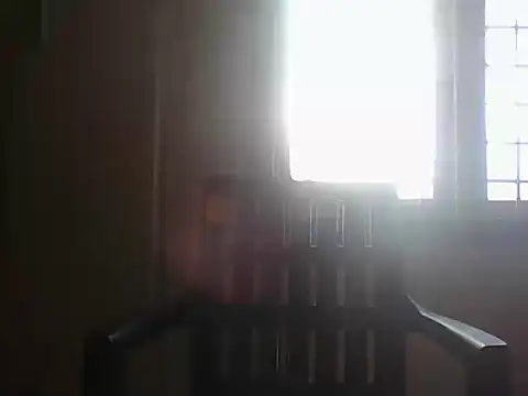 nbolla1 online show from May 2026 11:42:02 AM