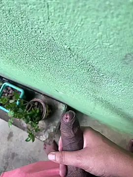 Snapshot of king_cum_ chatting on December 2024 12:16:01 PM king cum online show from December 2024 12:16:01 PM