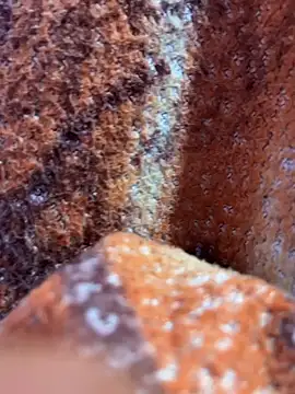 Snapshot of king_cum_ chatting on November 2025 01:17:02 AM king cum online show from November 2025 01:17:02 AM