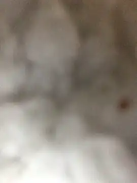 Snapshot of indie-rayne chatting on January 2025 09:05:01 PM indie-rayne online show from January 2025 09:05:01 PM