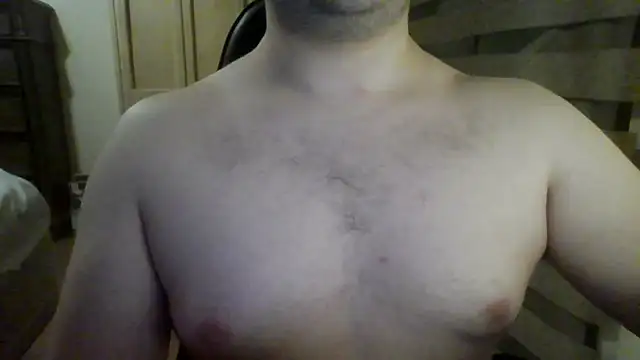 Himbo fox online show from November 2025 06:34:02 AM