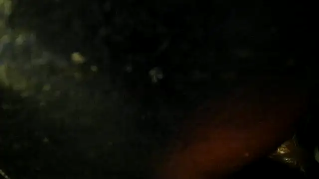 leatherz69 online show from May 2026 02:40:02 AM