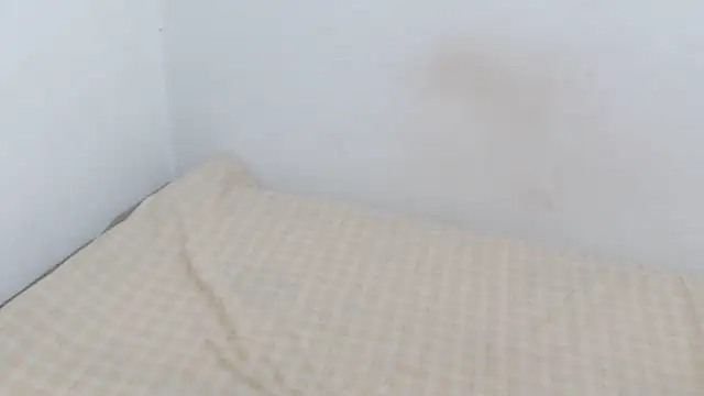 Snapshot of Adara_cooper22 chatting on October 2025 09:59:01 PM Adara cooper22 online show from October 2025 09:59:01 PM