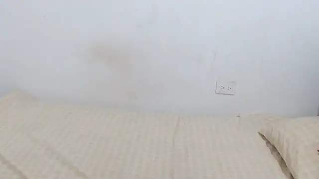 Snapshot of Adara_cooper22 chatting on November 2025 01:57:02 PM Adara cooper22 online show from November 2025 01:57:02 PM