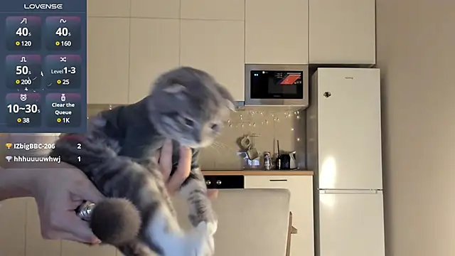 fairy di online show from December 2024 12:46:02 AM