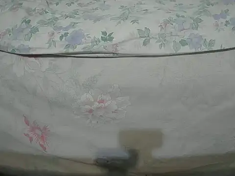 Tiger202441 online show from December 2024 10:24:01 PM