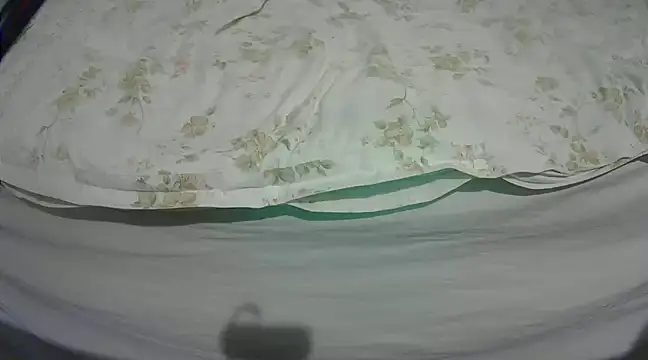 Tiger202441 online show from March 2025 09:32:02 PM