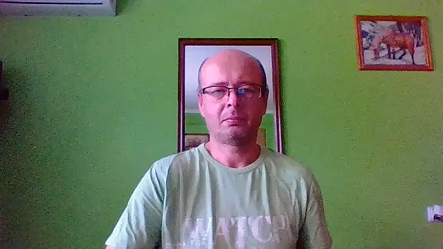 Tiger202441 online show from July 2026 07:33:02 AM