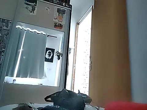 Snapshot of Binhosex2024 chatting on March 2025 06:00:01 PM Binhosex2024 online show from March 2025 06:00:01 PM