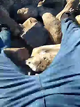 murokkk31 online show from January 2025 07:35:02 AM