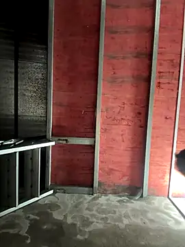 Snapshot of Hellen_111 chatting on November 2025 03:12:02 PM Hellen 111 online show from November 2025 03:12:02 PM