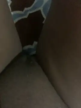 WyvaxxNikkie online show from January 2025 05:31:02 PM