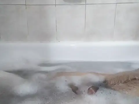 69LanceRomance69 online show from February 2026 09:20:01 AM