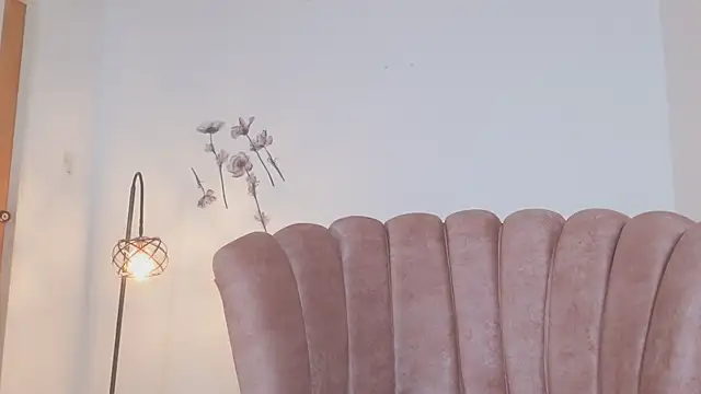 Snapshot of ArdentMisrule chatting on February 2025 01:27:01 PM ArdentMisrule online show from February 2025 01:27:01 PM