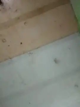 Alonsomadeira online show from February 2026 11:53:02 PM