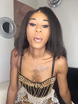 Snapshot of Dime-__ chatting on March 2026 11:12:02 PM Dime- online show from March 2026 11:12:02 PM