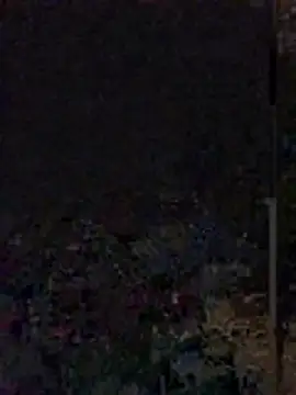 Yoko0381 online show from June 2026 05:39:01 AM