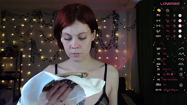 Snapshot of Your_Corvus chatting on January 2025 09:41:02 AM Your Corvus online show from January 2025 09:41:02 AM