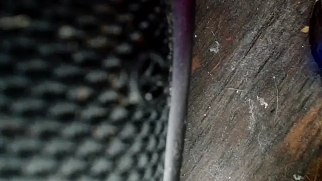 Gigadickman online show from December 2024 08:33:01 PM