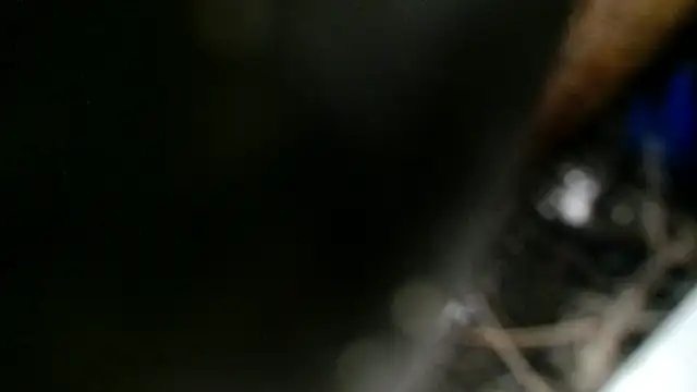 Gigadickman online show from December 2024 11:40:01 PM