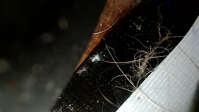 Gigadickman online show from December 2024 02:47:01 AM