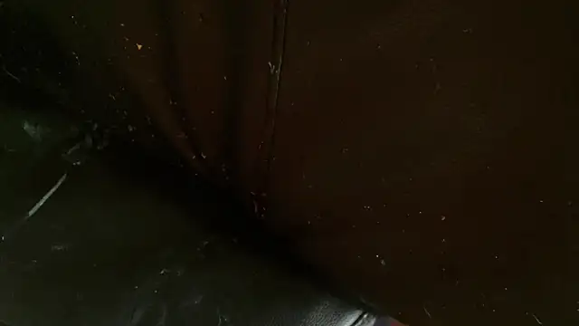 Gigadickman online show from January 2025 10:11:02 PM