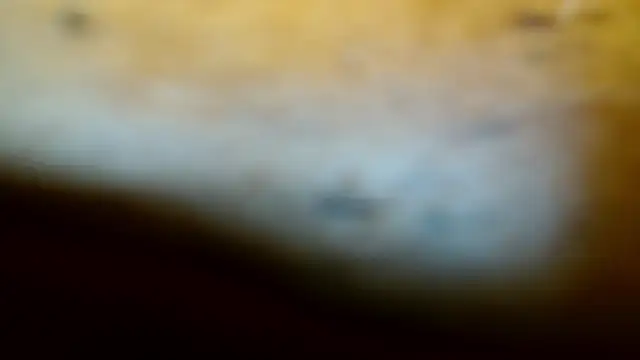 Gigadickman online show from February 2025 11:57:02 PM