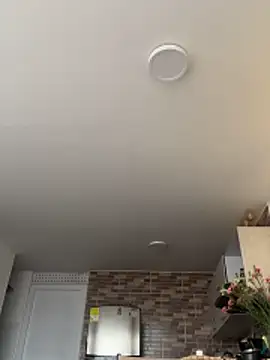 SofiaG  online show from February 2026 07:45:02 PM