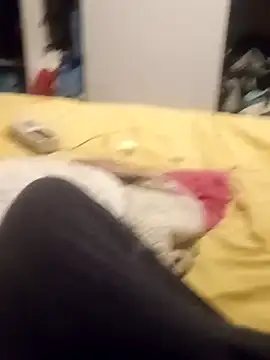 Snapshot of taradobbsafadok chatting on October 2025 11:32:02 PM taradobbsafadok online show from October 2025 11:32:02 PM