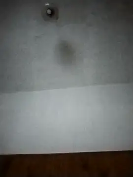 Snapshot of Xtrem3HARDxxx chatting on December 2024 06:14:01 AM Xtrem3HARDxxx online show from December 2024 06:14:01 AM