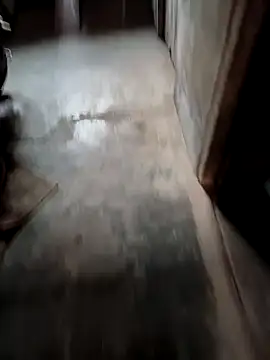 biharihotlund online show from February 2025 02:29:01 AM