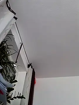 DonKazik online show from October 2025 08:09:02 AM