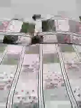 Snapshot of Diya_Chopra chatting on January 2025 04:10:02 AM Diya Chopra online show from January 2025 04:10:02 AM