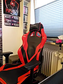 Snapshot of PupW0lfy chatting on January 2025 03:14:02 PM PupW0lfy online show from January 2025 03:14:02 PM