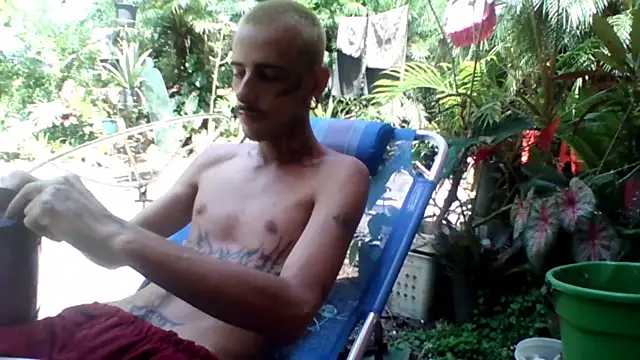 sellvageria online show from November 2025 01:32:02 PM