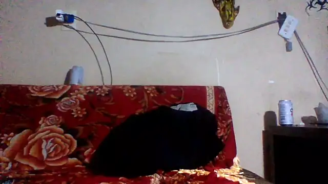 sellvageria online show from February 2026 03:49:02 AM