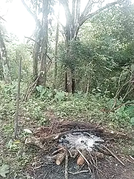 Snapshot of andreu_mature chatting on February 2025 01:53:02 PM andreu mature online show from February 2025 01:53:02 PM