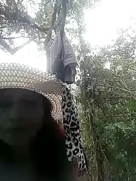 Snapshot of andreu_mature chatting on March 2025 10:32:01 PM andreu mature online show from March 2025 10:32:01 PM