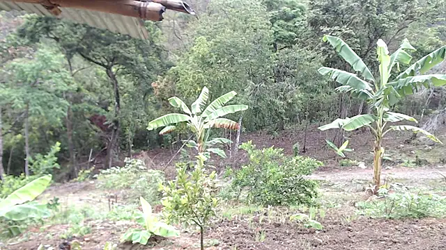 Snapshot of andreu_mature chatting on October 2025 01:08:01 PM andreu mature online show from October 2025 01:08:01 PM