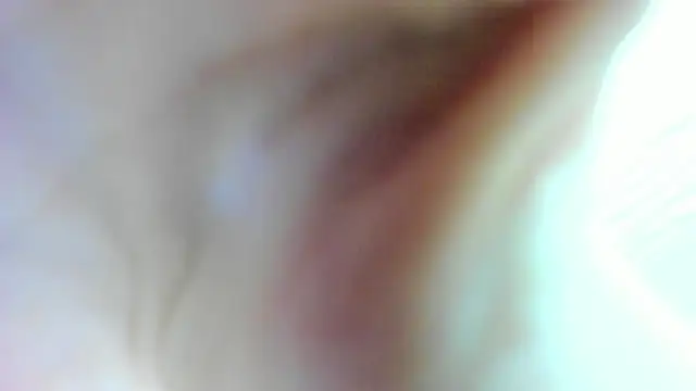 AishaRouhi online show from January 2025 04:49:02 AM