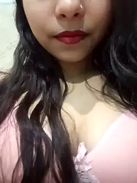 Snapshot of Deepsika chatting on January 2025 06:49:02 PM Deepsika online show from January 2025 06:49:02 PM