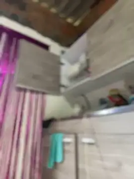 Emiily lee online show from January 2025 08:17:02 PM