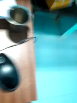 Snapshot of rajesh31tamil chatting on January 2025 07:34:02 AM rajesh31tamil online show from January 2025 07:34:02 AM