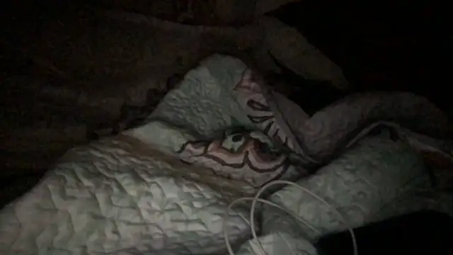 Snapshot of loveofbea chatting on October 2025 05:07:01 AM loveofbea online show from October 2025 05:07:01 AM