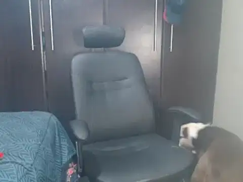 blzed420 online show from February 2025 11:14:02 PM