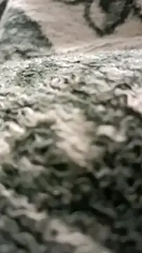 Snapshot of sokrates13 chatting on January 2025 07:38:01 PM sokrates13 online show from January 2025 07:38:01 PM