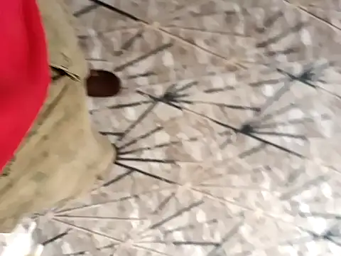 Snapshot of sokrates13 chatting on January 2025 07:15:01 AM sokrates13 online show from January 2025 07:15:01 AM