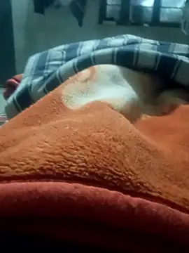 Snapshot of rjxraj chatting on January 2026 03:17:01 PM rjxraj online show from January 2026 03:17:01 PM