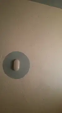 C-yoyo online show from February 2025 04:14:02 AM