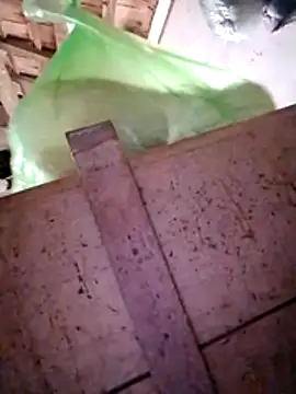 Hotpussy3ox online show from December 2025 03:13:02 AM